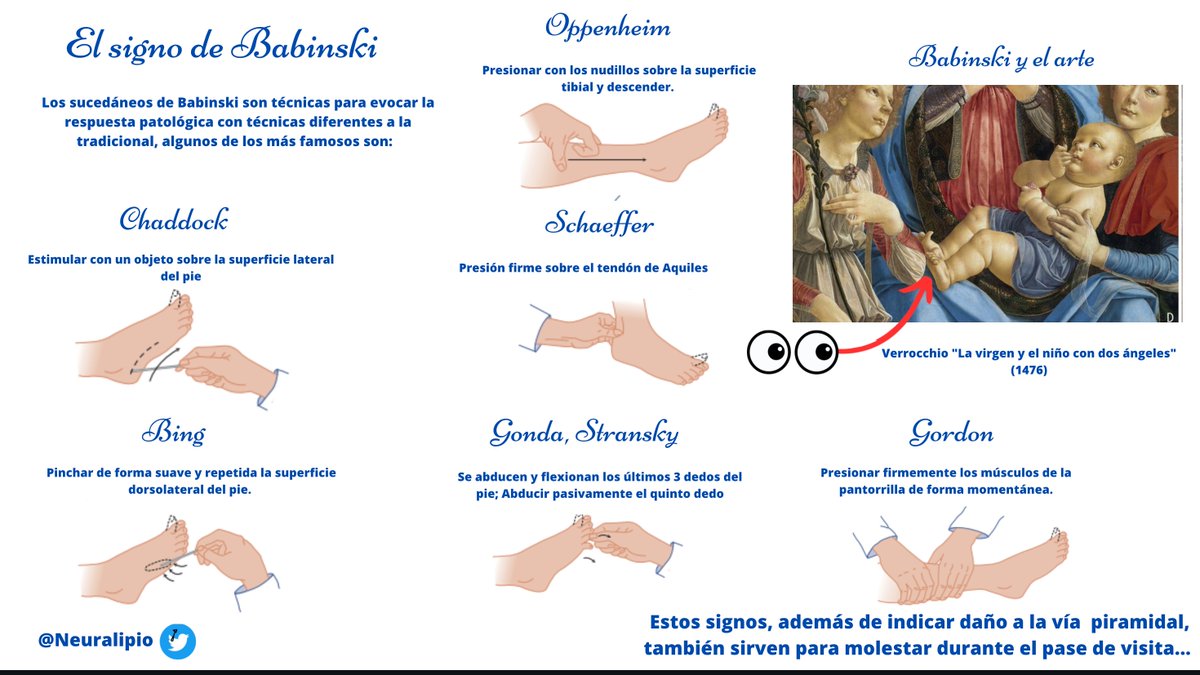 El signo de Babinski, parte 2: "Los sucedáneos"
#Neurology #neurotwitter #quieroserneuro