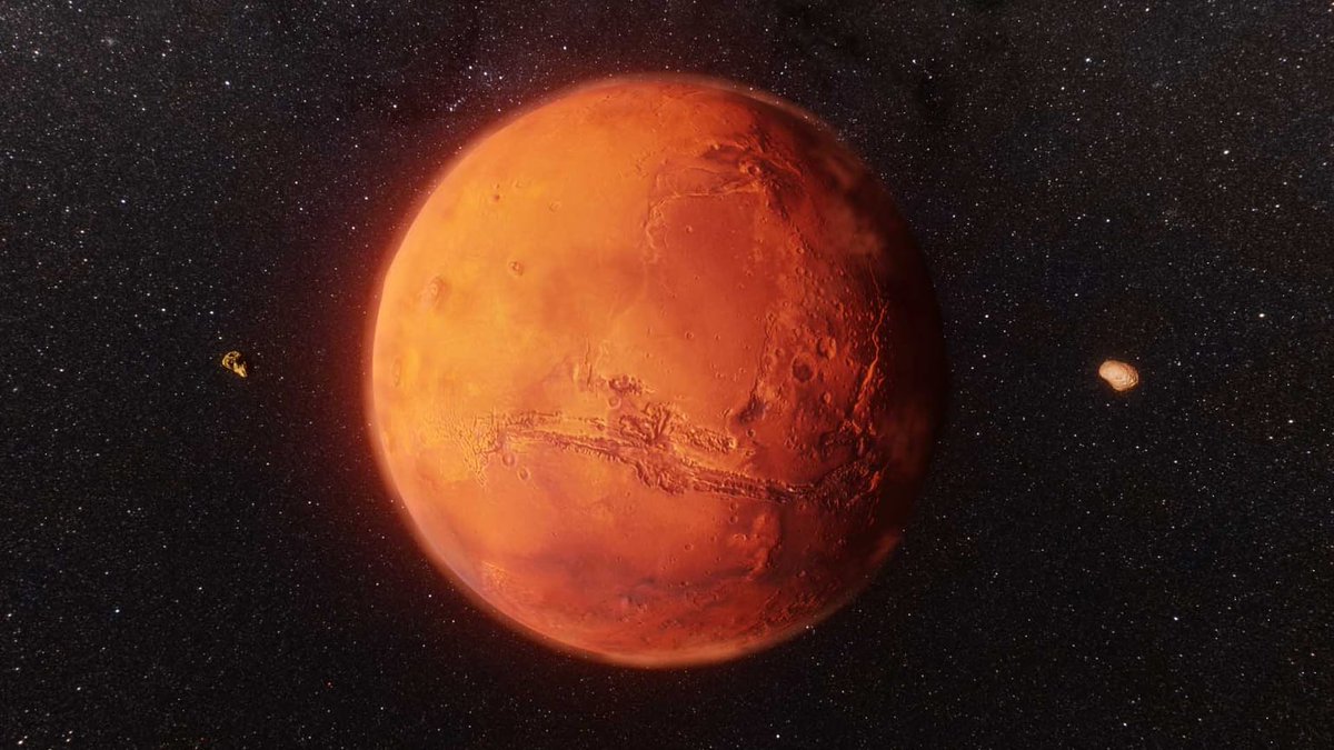 🌍🚀 Brace yourself for Mars facts! Gravity on Mars is 37% lighter than Earth! If you weigh 100 lbs on Earth, you'll be only 37 lbs on Mars. But that's not all! With reduced gravity, you can jump 3x higher! Get ready to bounce like never before! 🌠🪐

#MarsMonday #Mars #MarsFacts