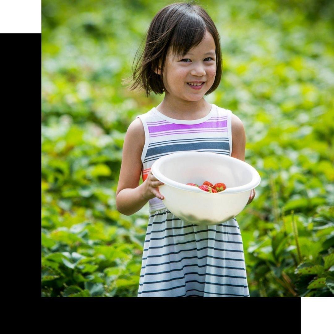 LeBANCDev's tweet photo. Experience the farm life &amp; create sweet memories with family &amp; friends. Coming soon to Markham Road &amp; Major Mac, Freehold Towns by LeBANC Development https://t.co/o7K7WVVfk7
#MarkhamRealEstate #Markham #YorkRegion #YorkRegionRealEstate #NewHomes #NewHomeSales #Qui #QuiModernTowns https://t.co/pOmQUoGGOO