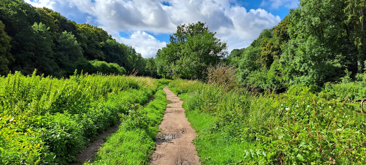Monarchsway's tweet photo. A beautiful view on the #MonarchsWay walking from #Conham River Car Park to #Keynsham in the #Bristol area https://t.co/jF6oC0ITtT