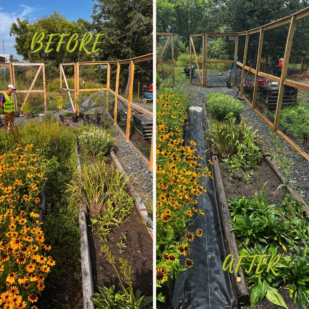 🌱Even our Seeds of Change Nursery has to be maintained🌱
Check out our website for more information on our Rent-an-EcoCrew and Maintenance services. howardecoworks.org/landscape-serv…