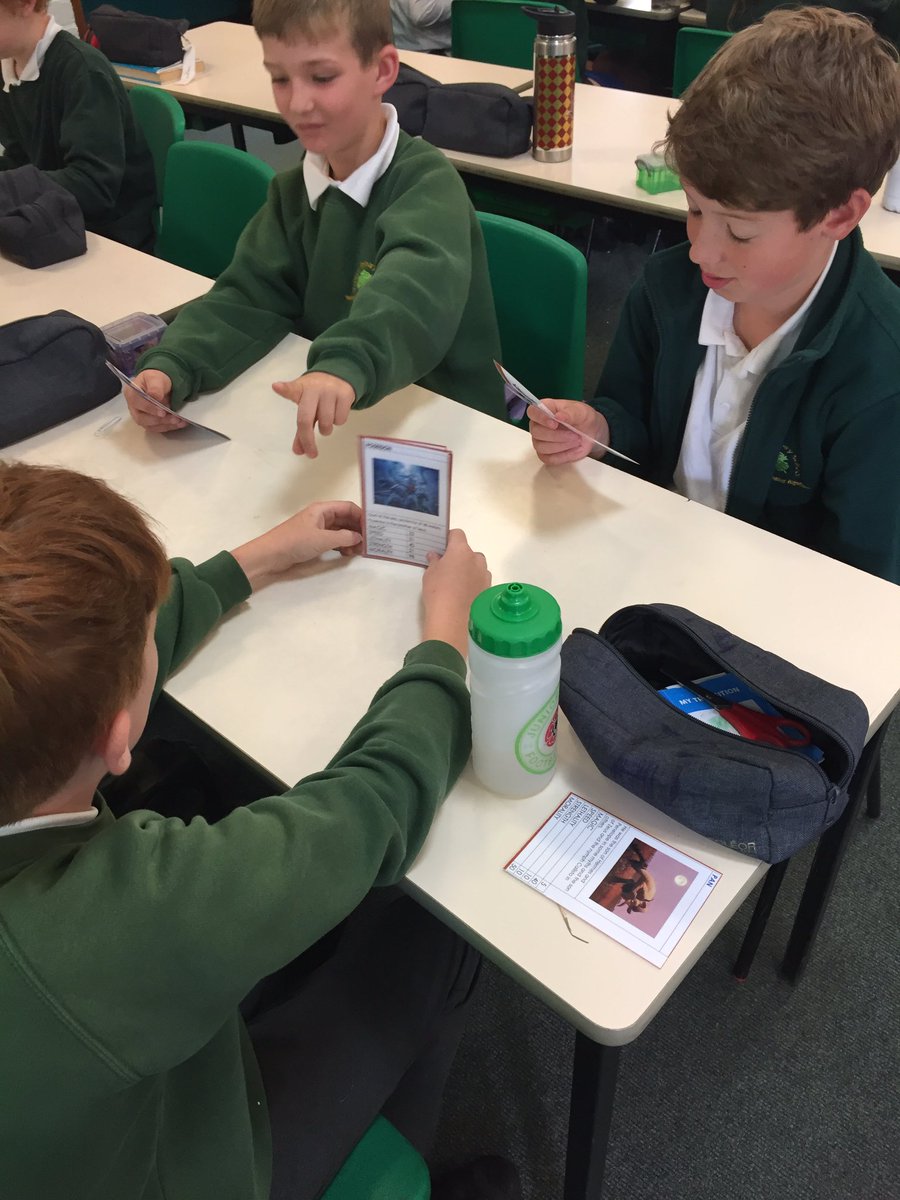 Stubbins Primary tweet media