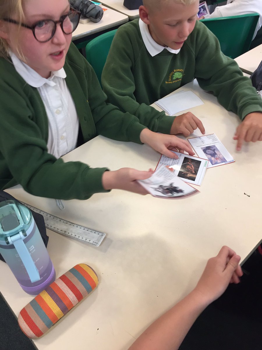 Stubbins Primary tweet media