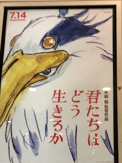 見てきたわ
