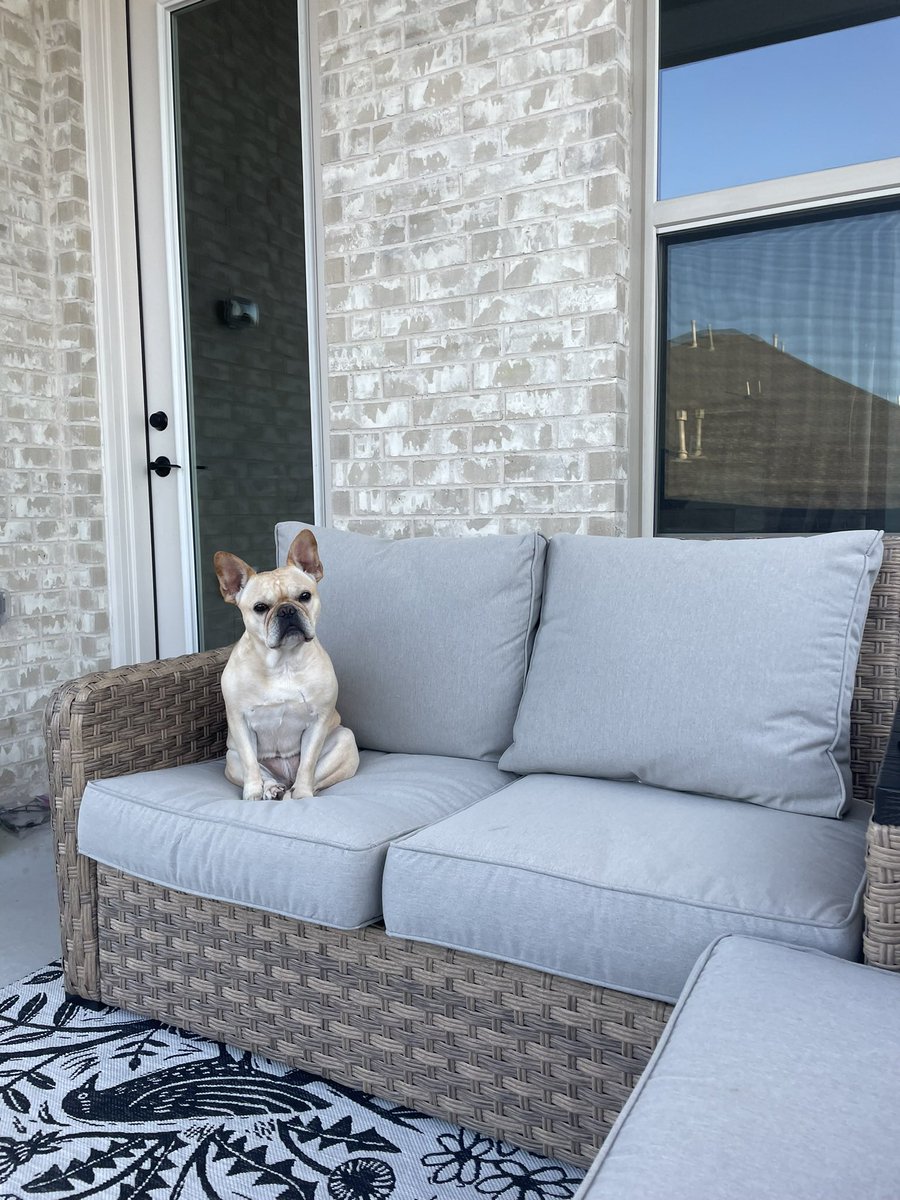 What have I been up to this summer? Moving into our first home! 🏡🩷 #MrsDavisOnTheMove