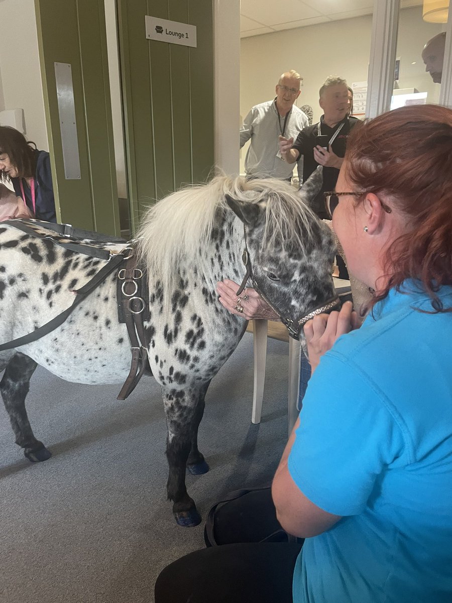 The best afternoon meeting a new friend at New Lodge!