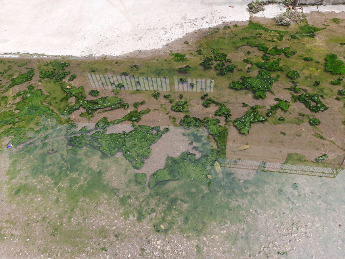 Ravindrapuri Kalyan Samiti tweet media