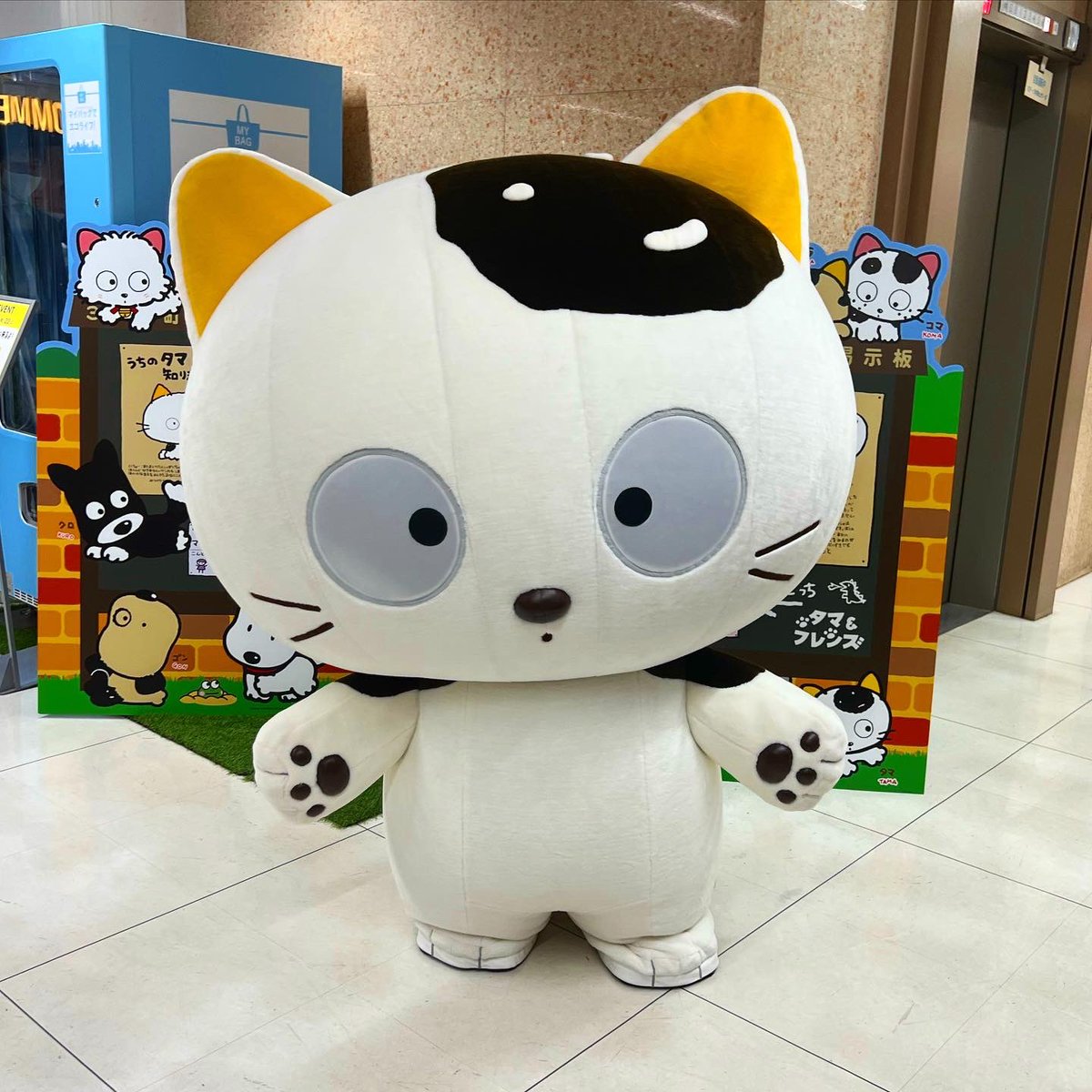 Tama-chan, a small, energetic cat from the manga/anime Tama