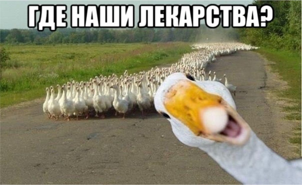 PEREBOI_RU's tweet photo. А в голове тем временем срифмовался ответ https://t.co/TomTvvMkmf