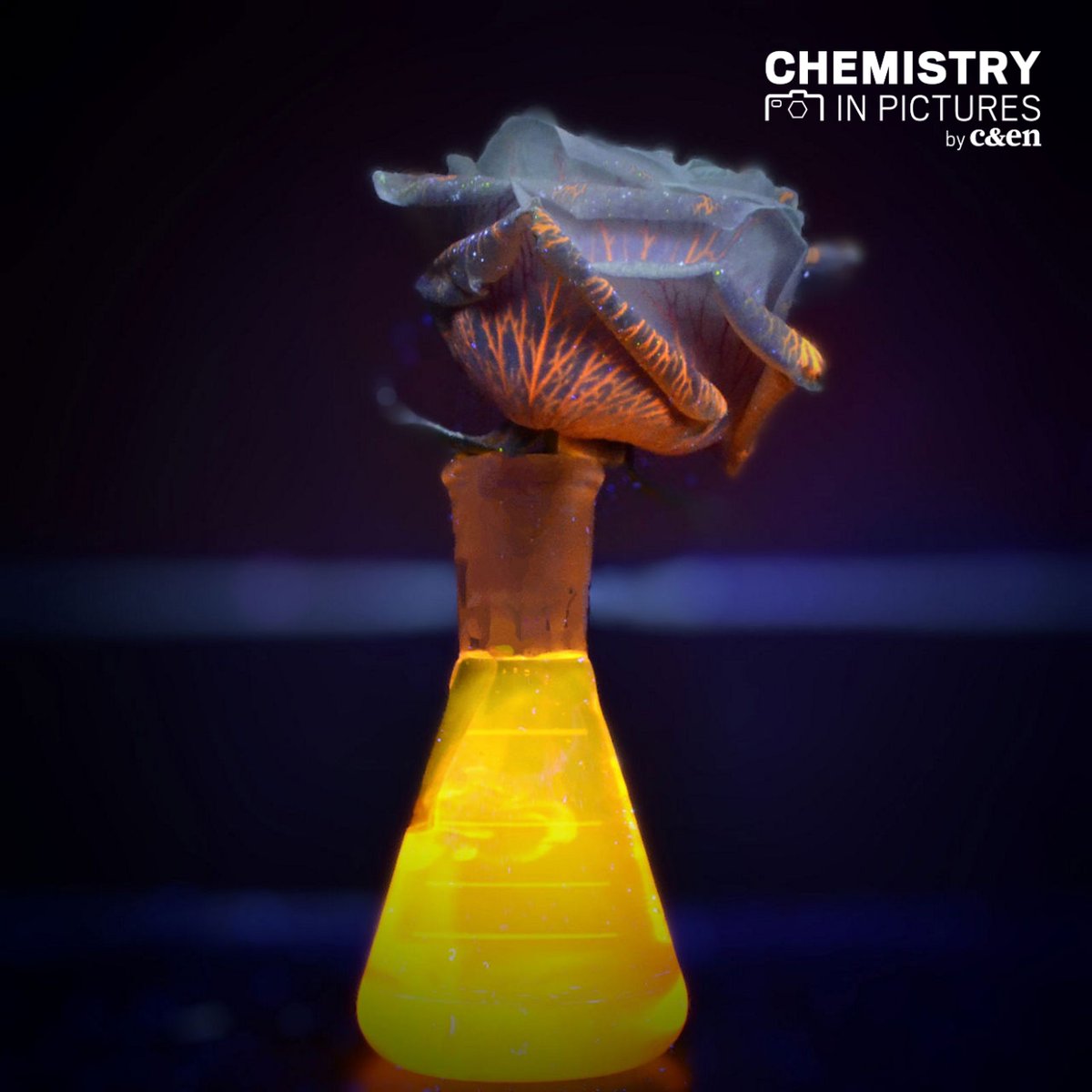 C&EN (Chemical & Engineering News) tweet media