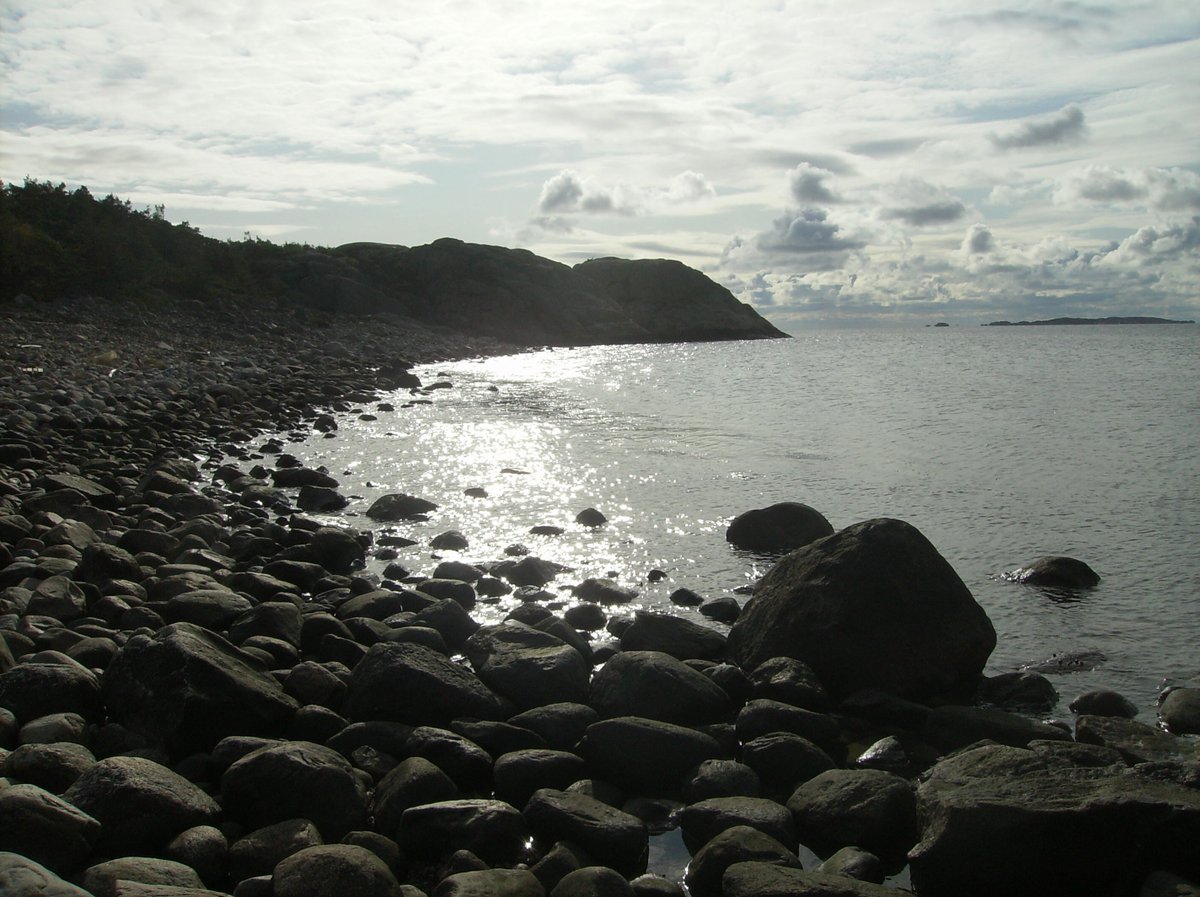 ISOLBE 2023 tweet media