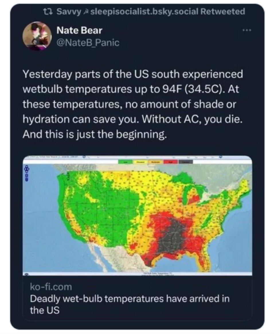 Sarah Sizzle tweet media