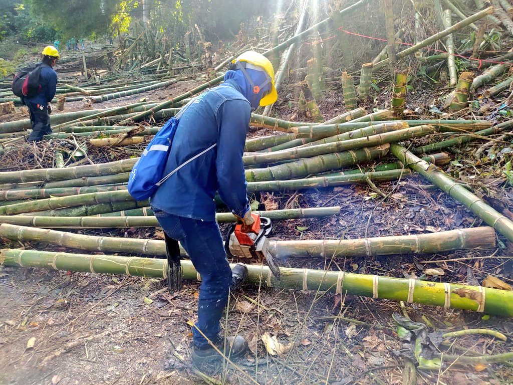 CARCDMB's tweet photo. 🔴#Atención| Con el desmonte de 20 cambuches, recuperamos el control de un predio de especial protección ambiental, que había sido ocupado de manera irregular en inmediaciones del barrio Nápoles de #Bucaramanga.
La zona pertenece al Distrito Regional de Manejo Integrado, #DRMI. https://t.co/QSgLchfAdt
