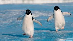 وانا ماشية فـ عز الحر وباعده ايديا عن جسمي