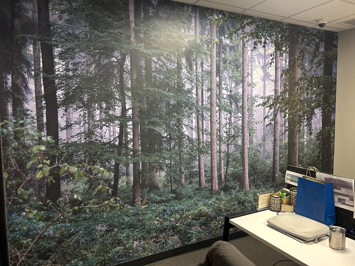 Another week, another Thermëa spa village Whitby post! This time, showcasing a full wall wrap we did for them in their offices! Doesn't it make you feel relaxed to be amongst the forest? We think so too... 😌🌲
#wallgraphics #wallwrap #scenery #3m