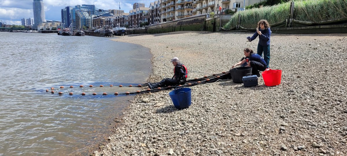 Thames Estuary Partnership tweet media