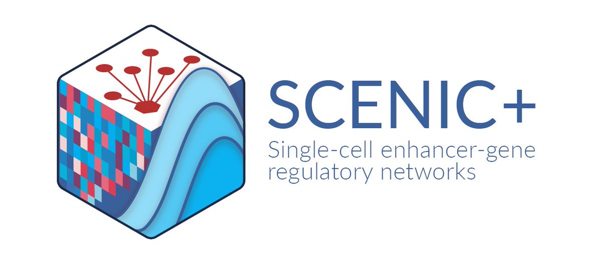 Seppe De Winter tweet media