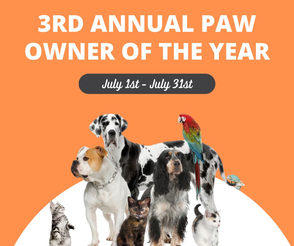 DCS Corporation tweet media