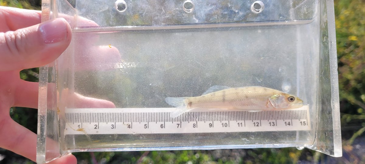 Thames Estuary Partnership tweet media