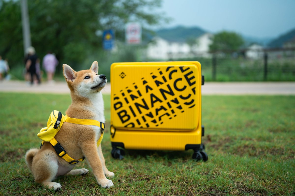 BSCCrypto tweet media