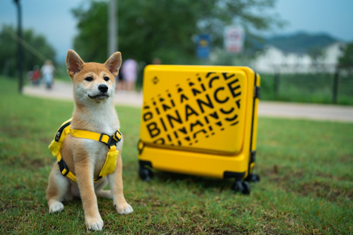 BSCCrypto tweet media