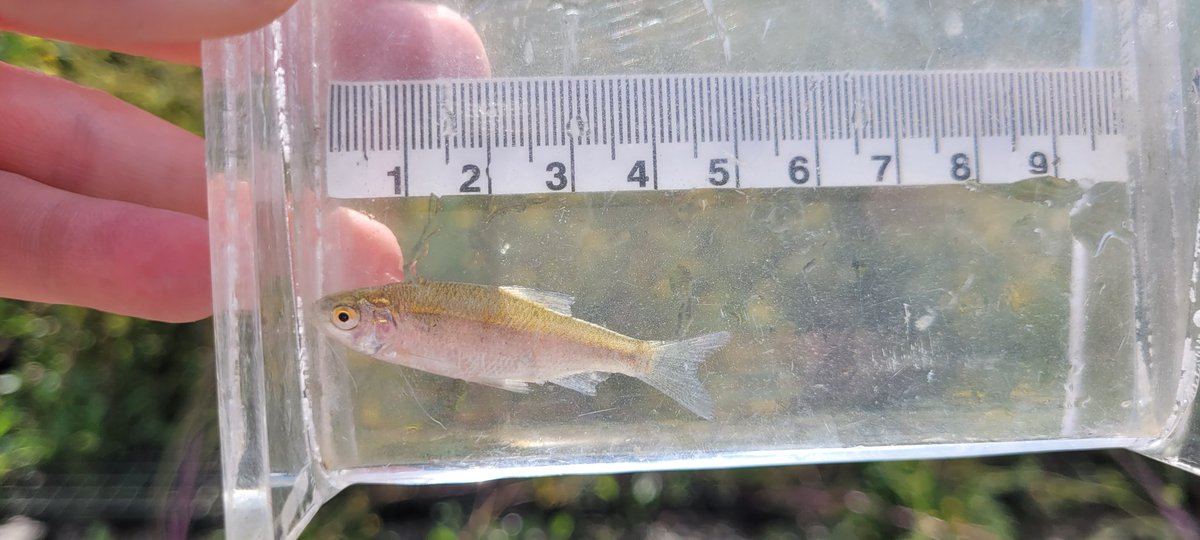 Thames Estuary Partnership tweet media