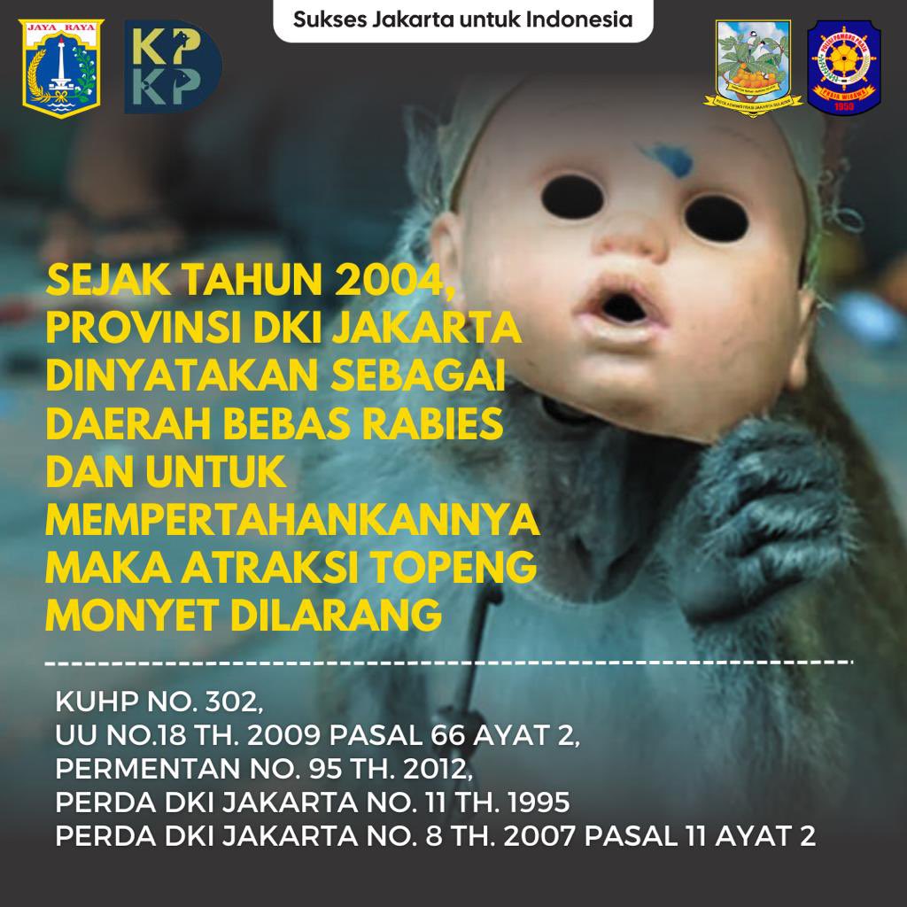 jaan_indonesia's tweet photo. Indonesia Bebas Topeng Monyet !! #dancingmonkeys #indonesiabebastm https://t.co/O2IkpWSxzG