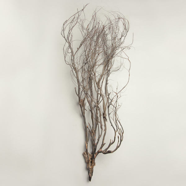 foxydigitalis's tweet image. We are back! New week, new FD Daily - today&apos;s pick is the incredible new Mary Jane Leach on Modern Love. I can&apos;t stop listening to it. Plus a beautiful new Annea Lockwood Edition from Room 40. foxydigitalis.zone/2023/07/17/fox…