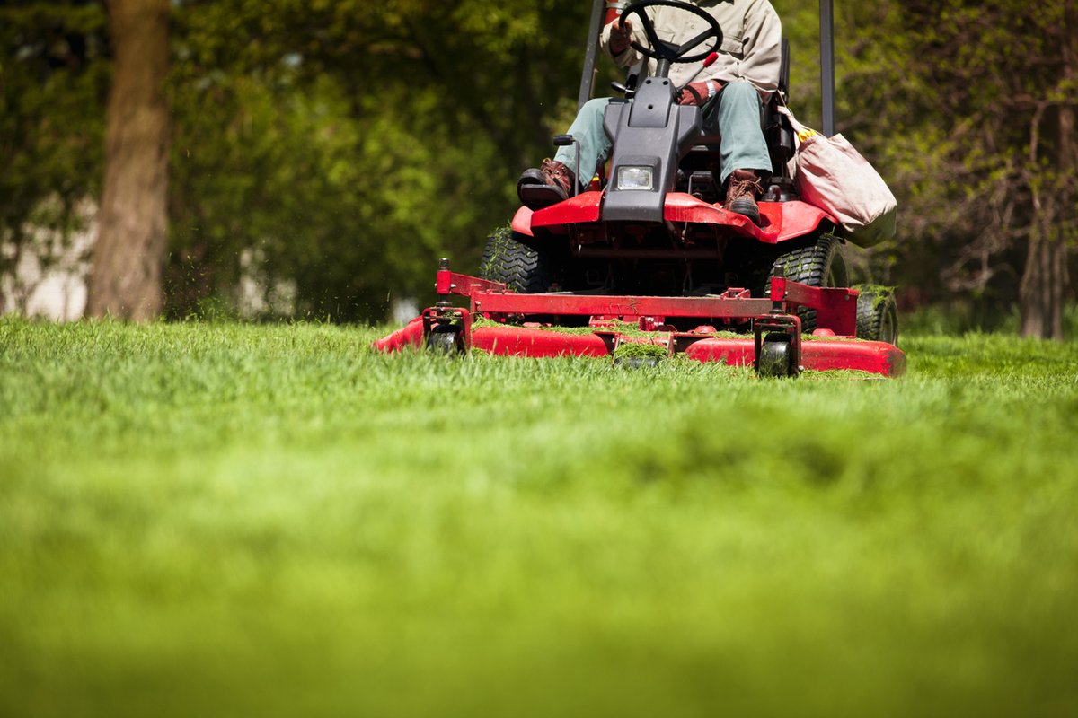 MinnesotaCities's tweet photo. The National Institute for Occupational Safety and Health is conducting studies to evaluate potential landscaping hazards. City employees who use lawnmowers, trimmers, etc., while landscaping for #MnCities are encouraged to participate.

Learn more: https://t.co/bjljqqXqB0 https://t.co/n7Fj9KkL4w