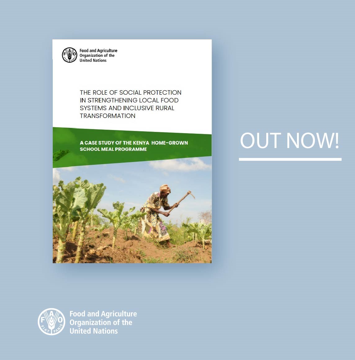 FAO Social & Economic Development tweet media