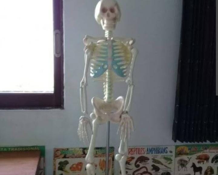 mbahKJogja's tweet photo. Urban Legend di Jogja

Ada salah satu SMP negeri di Jogja, menggunakan alat peraga biologi tengkorak utuh (jerangkong) dari kepala hingga tulang kaki asli, yg diambil dari jasad pak kebon nya.

Mbuh tenan opo ora, tapi bien cerito kui dadi kasak-kusuk cah sekolah jaman semono. https://t.co/nlAtqa1aTf