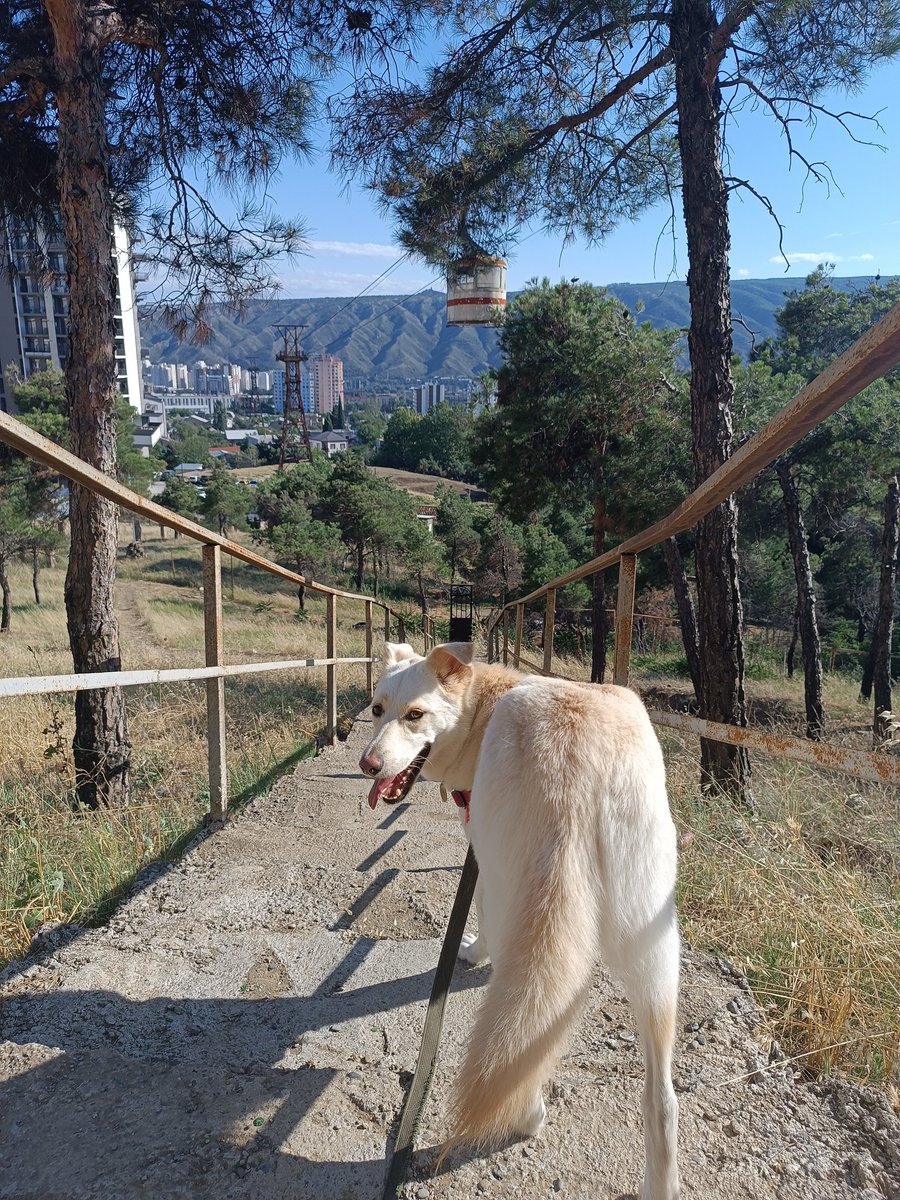 Кто её любит?