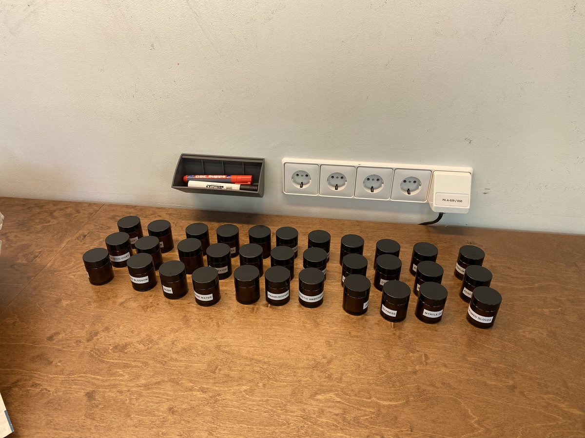 Sofia Collette Ehrich tweet media