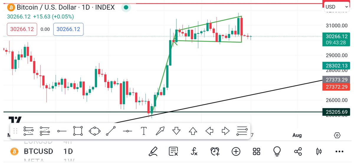 LitigationToken's tweet image. Who can identify this pattern made by bitcoin on the Daily timeframe and how to trade it?  #cryptocurrency #memecoins #Bitcoin #binance #Crypto