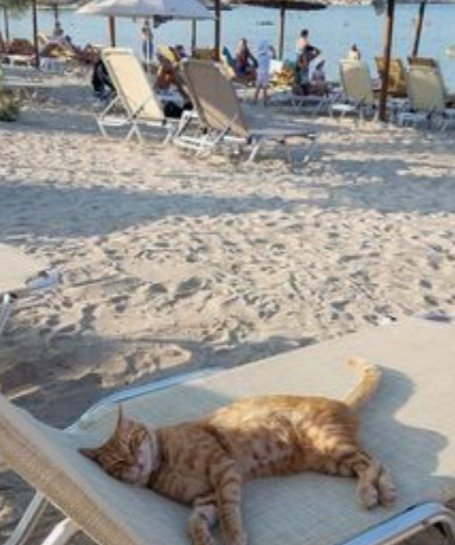 <a href="/kpetrovic340_/">Kristina  ♡</a> Hi dear KRISTINA 🌷 🌷☀️
Have a nice new week my sweet friend 😻 🌼🎶🦋🎶🌼
Lots of hugs and kisses 🥰💛