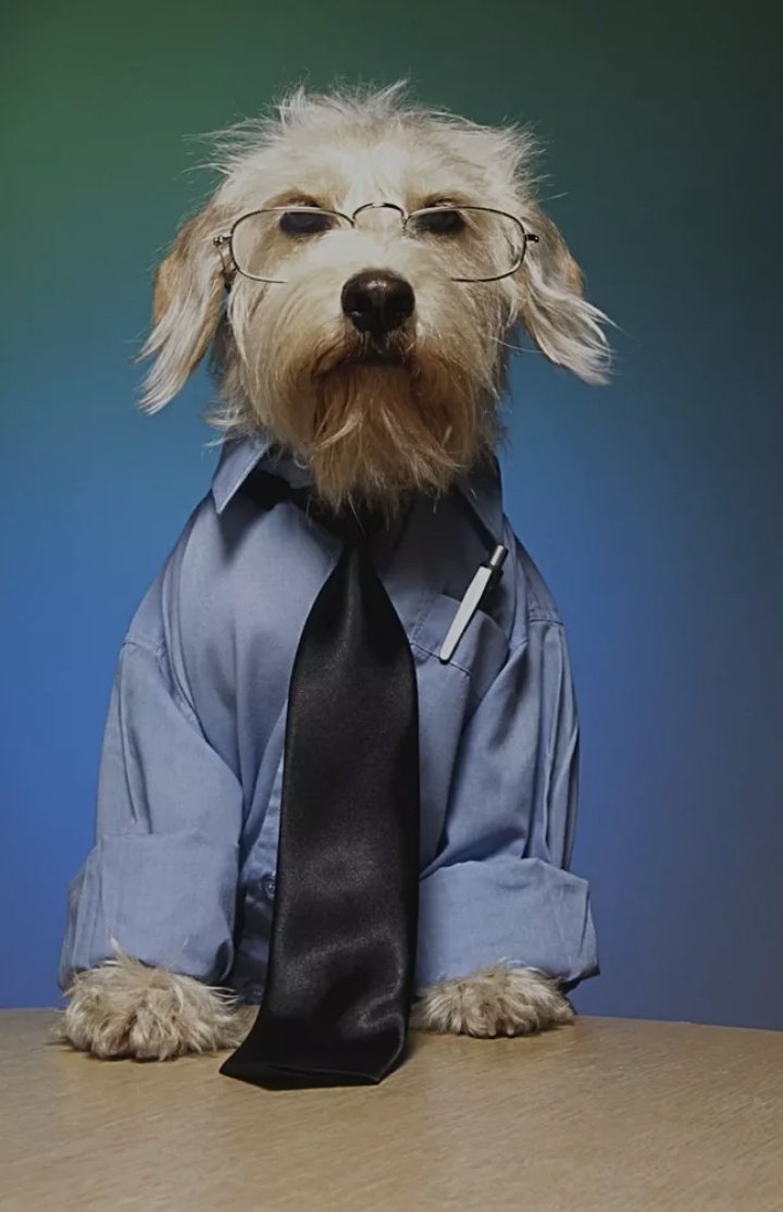 PhysicsJ7's tweet image. #Quickreminder

Usitongoze mwanamke ukiwa na nyege.