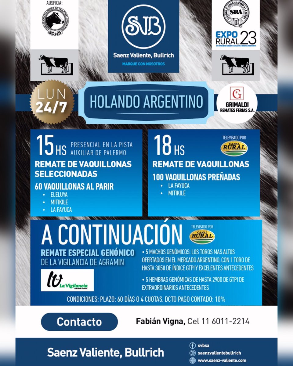 FEV Producciones tweet media