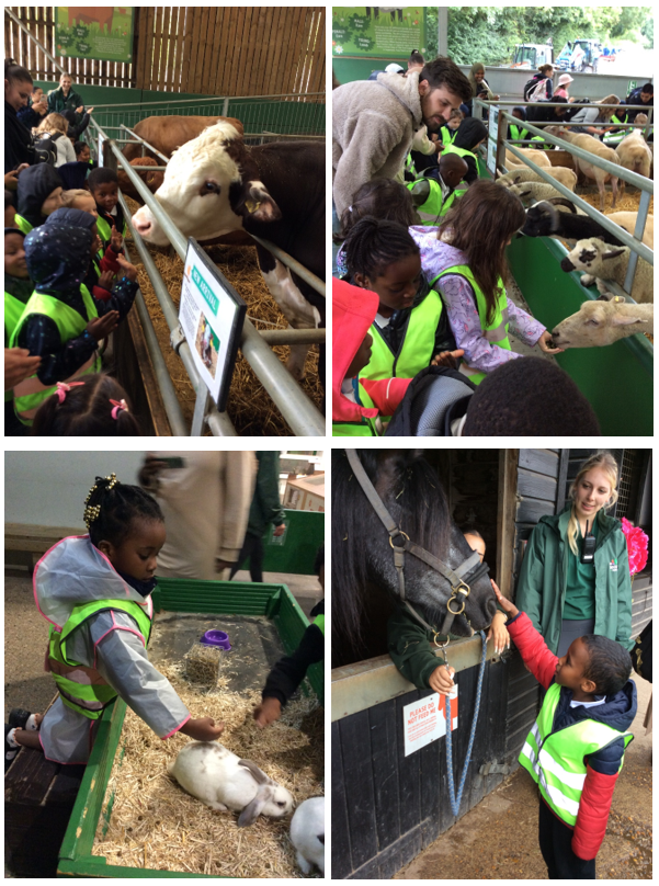 Keyworth Primary School on Twitter "Reception had a fantastic time