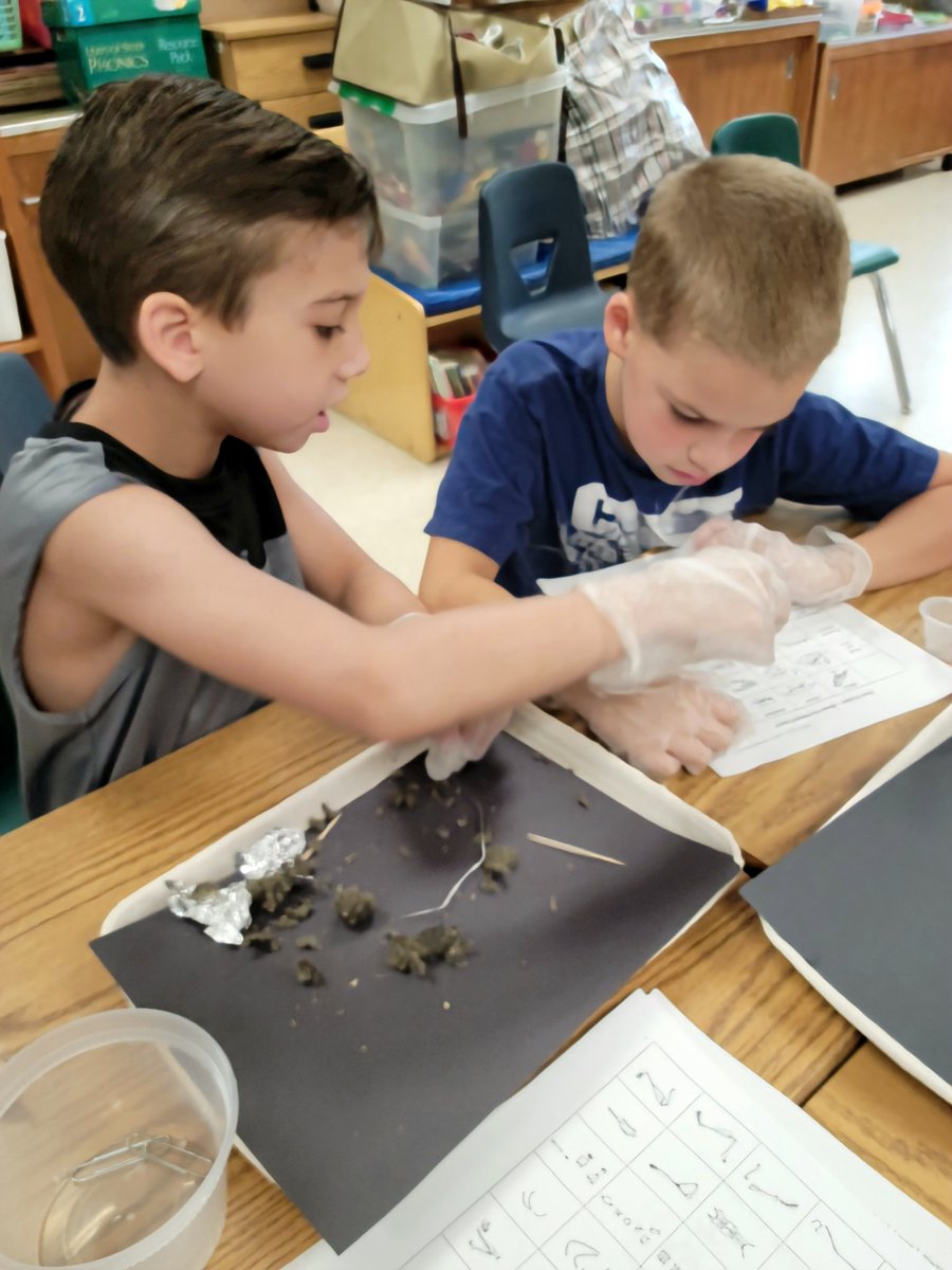 Tiffany Ziegelhofer tweet media