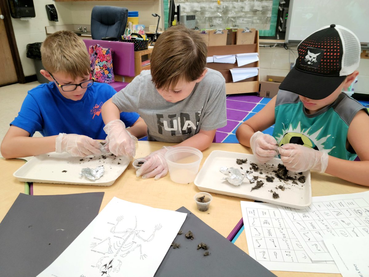 Tiffany Ziegelhofer tweet media