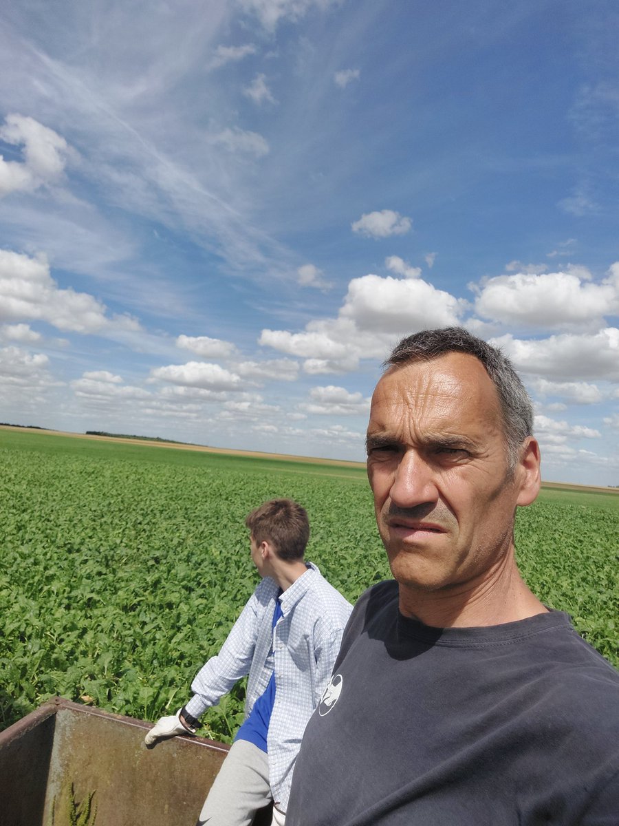 ChoiselatF's tweet photo. Balade depuis ce matin dans nos @_MissBetter pour parfaire le bronzage...#Vacances de betteravier 
Nous retirons les betteraves qui montent et quelques herbes...#gros #mollets #marche https://t.co/bxbNg4fE9C