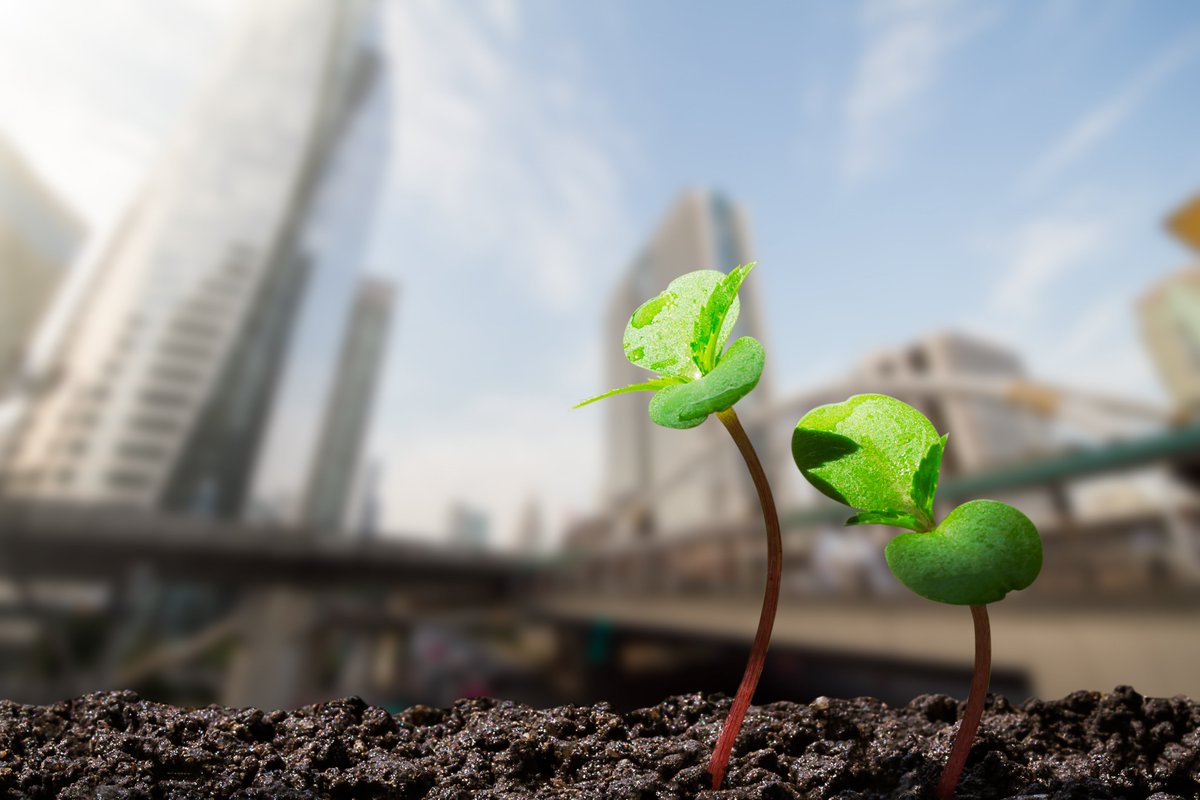 OECDtrade's tweet photo. 🆕 Arrangement text on #ExportCredits has now entered into force!

It provides more generous &amp; flexible financing conditions, especially for green projects. Learn more ➡️ https://t.co/hTWbGMDVLW https://t.co/lfbWiw3ejb