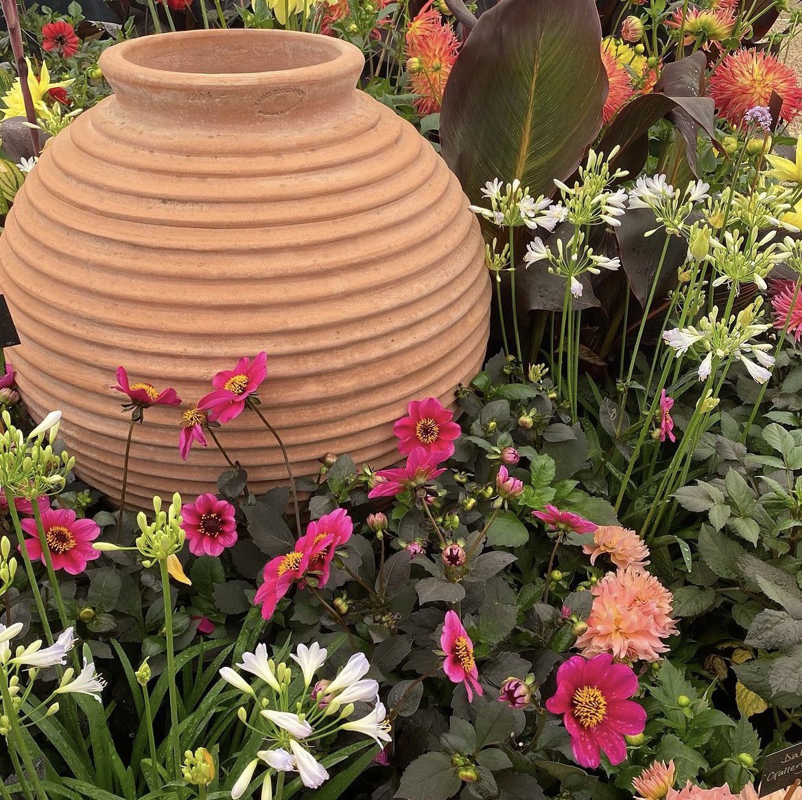 Spent way too much this year! But I’m worth it…..or at least my garden is 🥰
#hamptoncourt #hamptoncourtflowershow #flowershow #hamptoncourtpalace