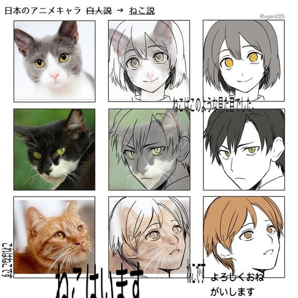 I was today years old when I found out that anime character styles are based off of cats?????