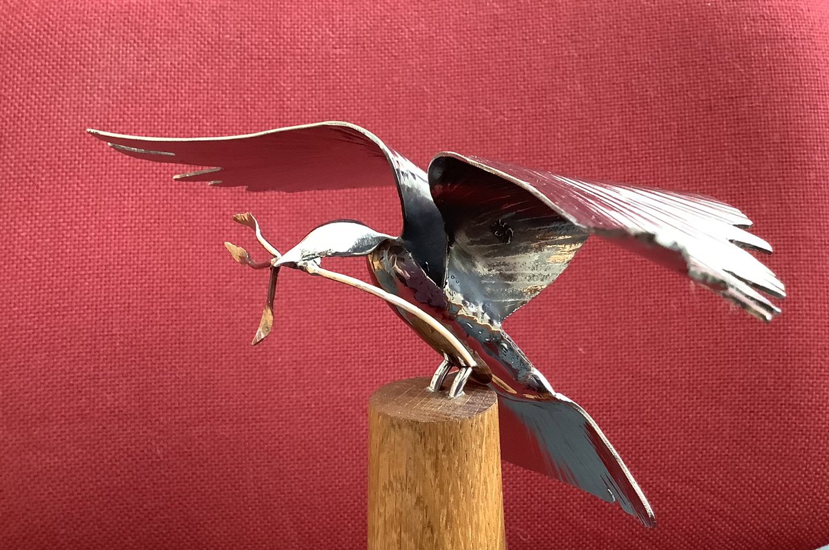 Alaw Primary School tweet media