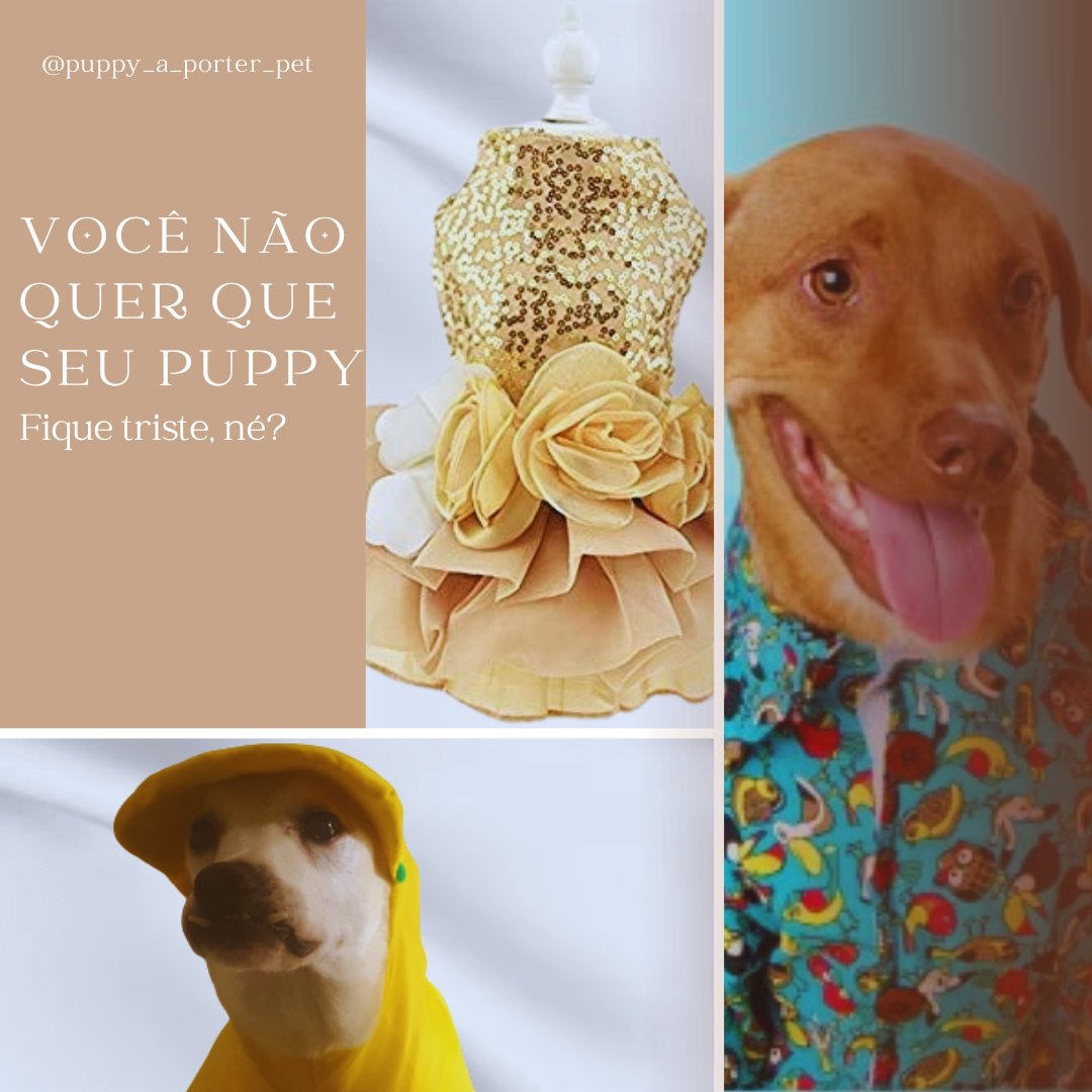 PuppyModa67962's tweet photo. Todo Puppy fica mais alegre com um lookinho sofisticado, glamouroso e confortável!
Então renove logo o closet do seu Puppy com os lookinhos da Puppy à Porter

Acesse: https://t.co/LSUEbAJjFs

#petfeliz #pet #cachorro #roupapet #roupapracachorro #vestidopet #camisapet #casamentos https://t.co/HnSjX9jBLC