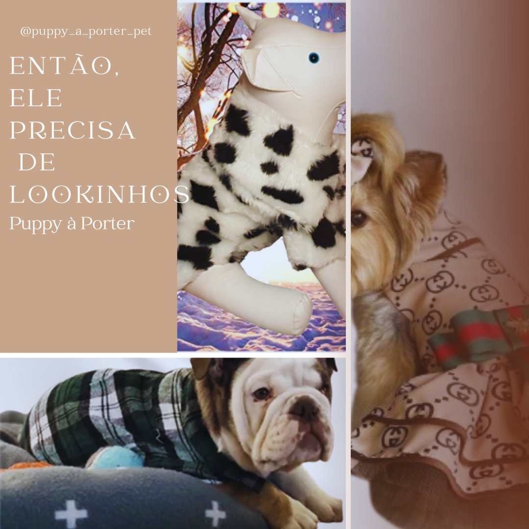 PuppyModa67962's tweet photo. Todo Puppy fica mais alegre com um lookinho sofisticado, glamouroso e confortável!
Então renove logo o closet do seu Puppy com os lookinhos da Puppy à Porter

Acesse: https://t.co/LSUEbAJjFs

#petfeliz #pet #cachorro #roupapet #roupapracachorro #vestidopet #camisapet #casamentos https://t.co/HnSjX9jBLC