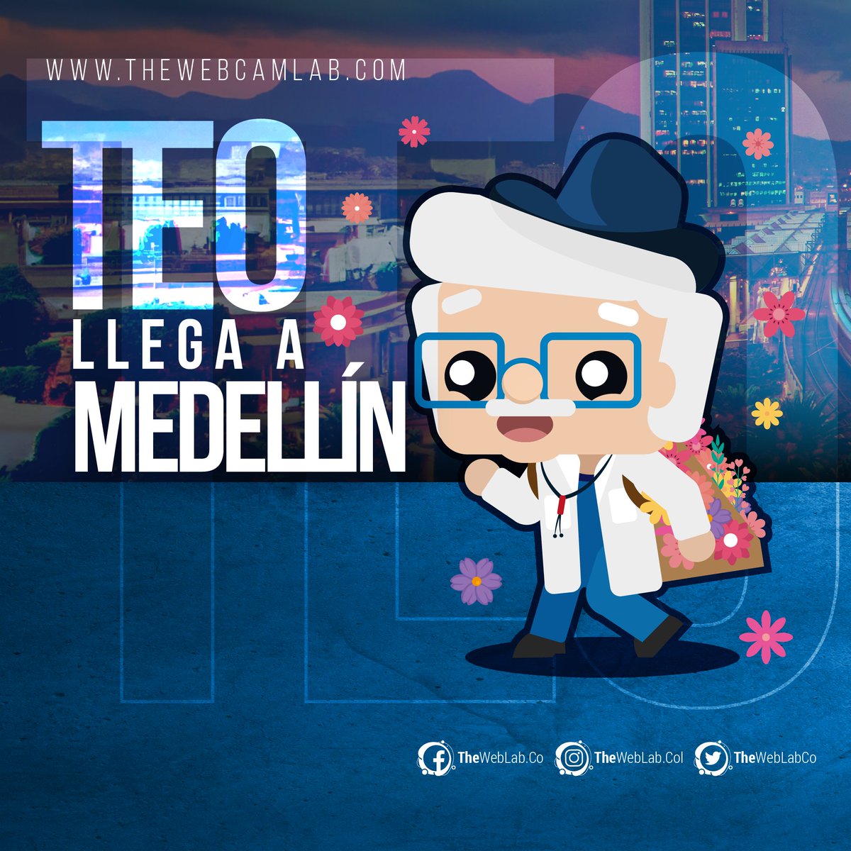 The Web Lab tweet media