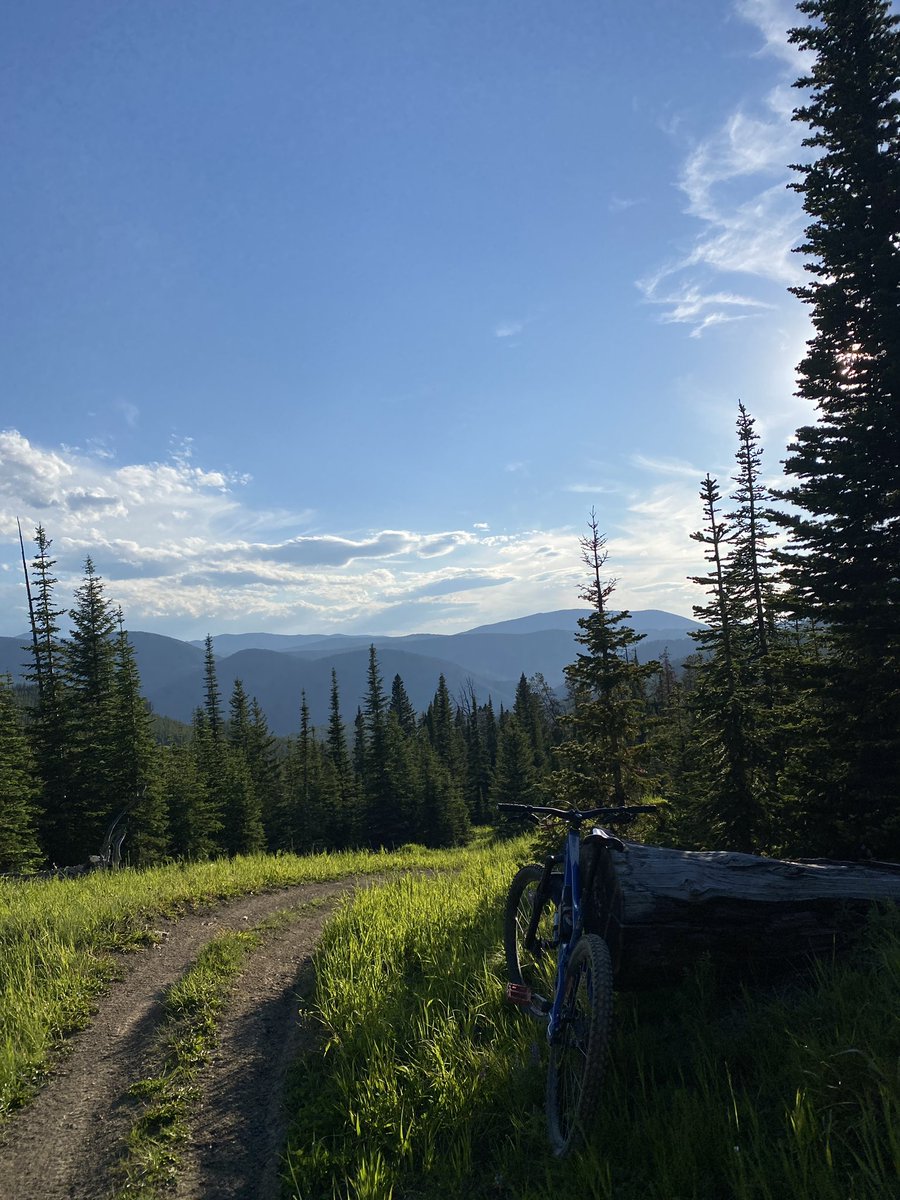 RomanSchnobrich's tweet photo. It’s been a summer of biking for me so far, this Banshee has really woken me up. Who knew that “exercise” could be so fun! https://t.co/0fIQYyGiT2
