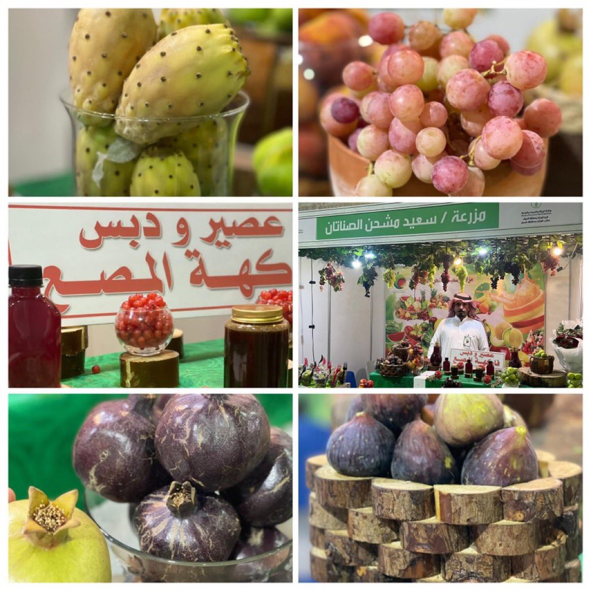 #يحدث_الآن |
 #لمصع (غرقد) Nitraria retusa 🍒| 
المزارع | سعيد بن مشحن الصناتان الشراري  والذي تميز هذا القسم بـ #فاكهه_المصع بالاضافة للعديد من الفواكة مثل العنب والتين الشوكي (البرشومي) والرمان الأسود وغيرها الكثر بـ #مهرجان_الفاكهه_بطبرجل <a href="/agri_ext/">الإرشاد الزراعي</a>